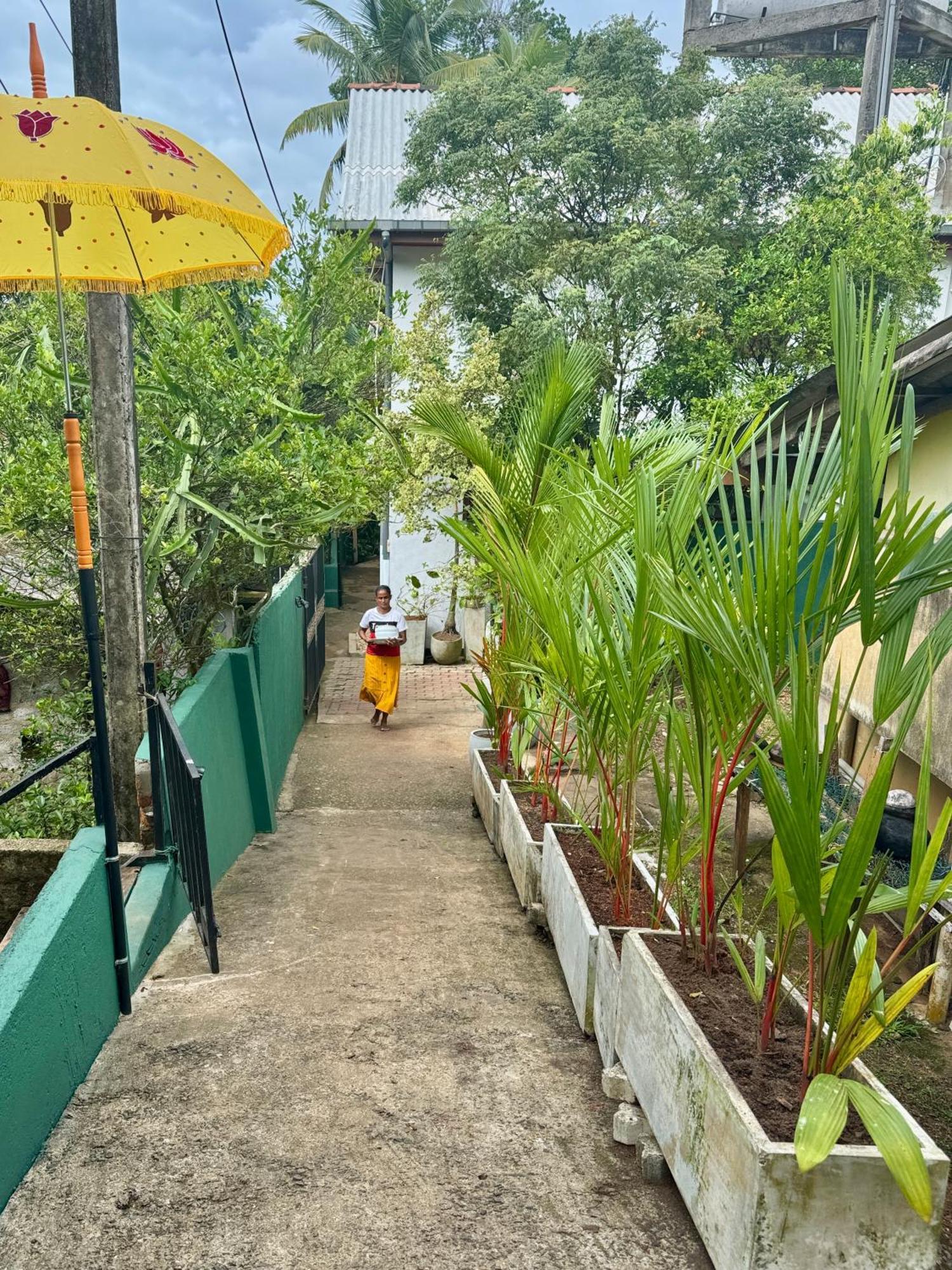 Swastha Ayurveda Villa Hikkaduwa Exteriér fotografie