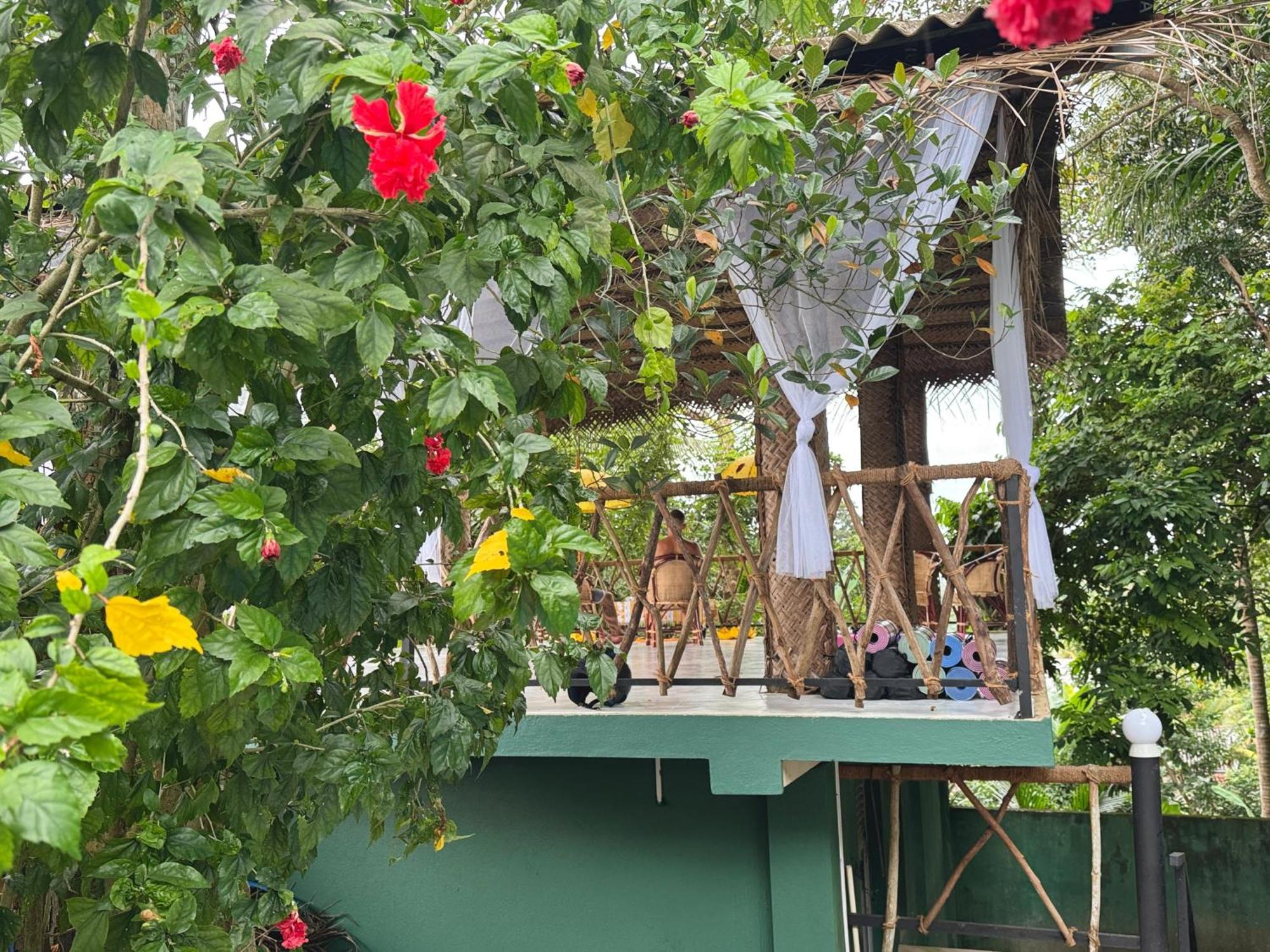 Swastha Ayurveda Villa Hikkaduwa Exteriér fotografie