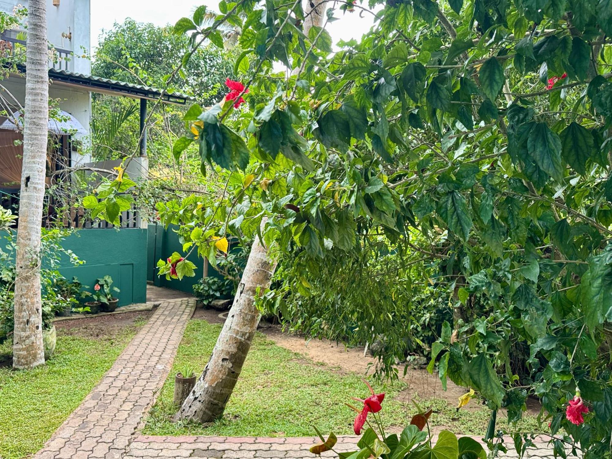 Swastha Ayurveda Villa Hikkaduwa Exteriér fotografie