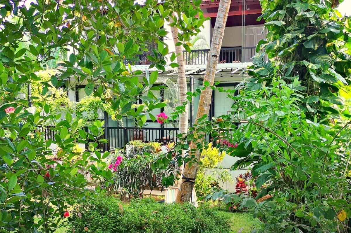 Swastha Ayurveda Villa Hikkaduwa Exteriér fotografie
